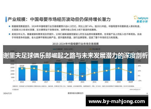 谢里夫足球俱乐部崛起之路与未来发展潜力的深度剖析