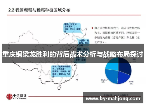 重庆铜梁龙胜利的背后战术分析与战略布局探讨 重庆铜梁龙胜利的背后战术分析与战略布局探讨
